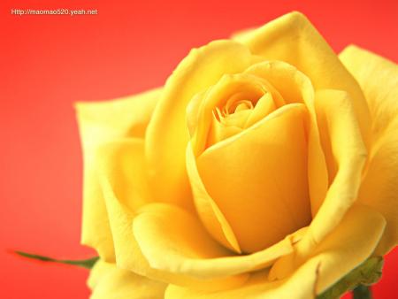 bonjour a vous